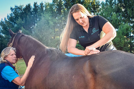 Spinal manipulation Spinal manipulation