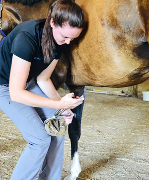 Hoof testers Hoof testers