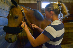 Hoof testers